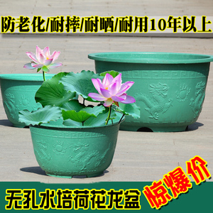 加厚加硬超大无孔睡莲碗莲荷花水培龙缸塑料花盆耐摔耐晒古典无托