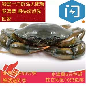 北京鲜活海螃蟹进口缅甸野生青蟹膏蟹满黄母蟹肉蟹大闸蟹2.5—3两