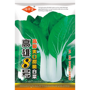 高雄8号高脚爽口甜脆白菜 冯子龙种苗公司直售批零种植蔬菜种子