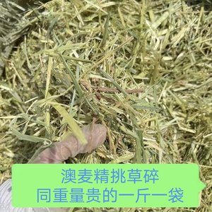 兔兔草铺24年新草精挑澳麦草碎20斤进口黄金澳麦草青黄燕麦干草
