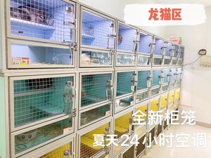 广州宠物寄养龙猫寄养服务全年无休
