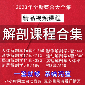 人体解剖学课程视频教程断层解剖学系统解剖局部运动病理影像解剖