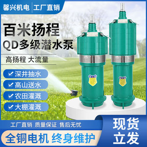 QD多级潜水泵高扬程220v油浸泵深井泵380v小老鼠大流量抽水泵灌溉