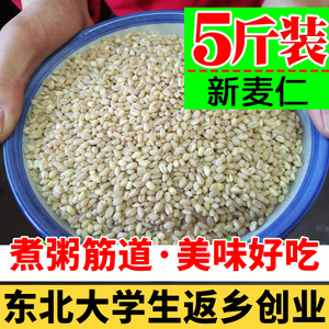 新小麦粒去皮东北农家食用粥生麦仁米5斤五谷杂粮脱皮散装