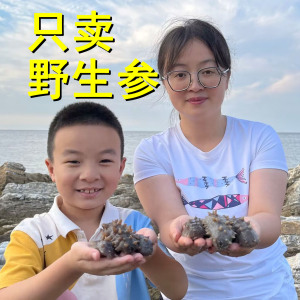 晓涵海参干货旗舰店孕妇250g长岛野生纯淡干底播非礼盒大连辽刺参