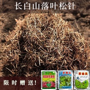 天然兰花专用纯松针营养土橡树叶腐叶种植土腐熟无土花卉月季植料