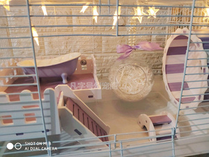 【紫色套餐系列】金丝熊60厘米基础笼套餐仓鼠47厘米基础笼包邮大