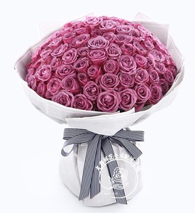 冷美人紫玫瑰99朵鲜花花束全国配送节日生日表白送花