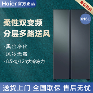 Haier/海尔 BCD-616WGHSSEDC9一级变频风冷无霜家用对开双门冰箱