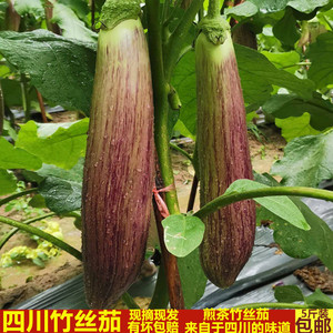 茄花紫 茄花紫品牌 价格 阿里巴巴 茄花紫 茄花紫品牌 价格 阿里巴巴