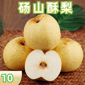 安徽正宗砀山酥梨新鲜水果梨子10斤当季整箱包邮黄冠冰糖脆蜜甜梨