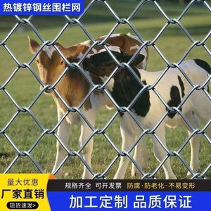 镀锌菱形铁丝网勾花围栏网养殖狗牛羊猪围栏养鸡防护网户外围栏网