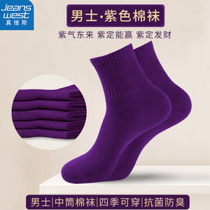 真维斯紫色男士袜子男中筒袜春夏季防臭棉袜考试紫红龙年男款长袜