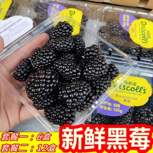云南怡颗莓黑莓新鲜覆盆子水果黑树莓果酸甜桑葚125g/盒顺丰包邮