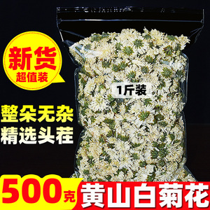 白菊花茶500g新品手选七月菊干菊花白菊花另售贡菊黄菊杭白菊泡茶