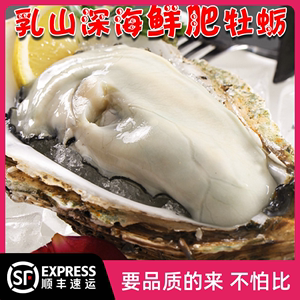 乳山牡蛎新鲜大生蚝鲜活即食海鲜海蛎子青岛贝类海鲜水产5斤装