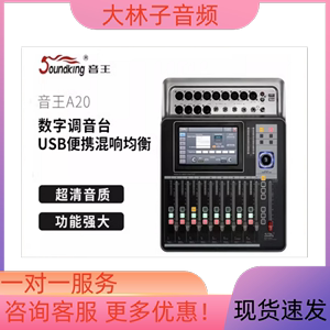 Soundking音王A20 DM20数字调音台舞台演出便携小型调音台