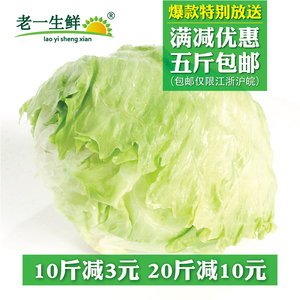 【老一生鲜】新鲜球生菜500g圆生菜沙拉菜西生菜沙拉蔬菜结球生菜
