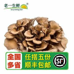 【老一生鲜】新鲜真菌 灰树花 舞茸 80g/盒 日本舞茸菌