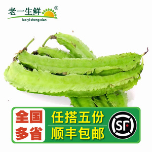 【老一生鲜】 新鲜 绿色蔬菜 四角豆 龙豆500g