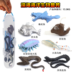仿真盒装海洋鱿鱼模型安康鱼玩具深海鳗大王具足虫塑胶儿童科教育