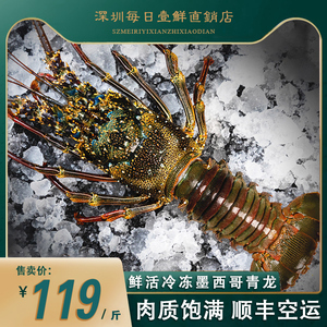 新鲜小青龙龙虾鲜活大龙虾澳洲龙虾冰鲜冷冻大虾海鲜水产花龙龙虾