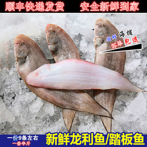 鲜活海捕龙利鱼踏板鱼新鲜舌头鱼鳎目鱼牛扁口鱼海鲜烧烤1斤/16元