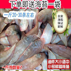 小号鲜活海捕龙利鱼踏板鱼新鲜舌头鱼鳎目鱼牛扁口鱼烧烤12元/斤