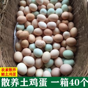 湖北荆州宜昌恩施农家特产双莲土鸡蛋初生蛋笨鸡蛋40枚包邮
