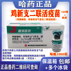 哈药 鸡用兽药 鸡新城疫 传染性支气管炎 活疫苗120株 每瓶1000羽