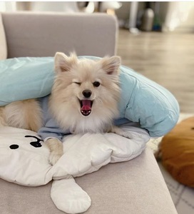 韩国INS宠物凉感睡袋窝狗窝冰丝冰爽垫子夏季降温睡垫猫咪空调被