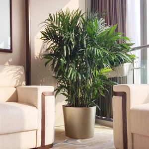 自动吸水花盆客厅办公室大型植物散尾葵专用金色落地免浇水特大号