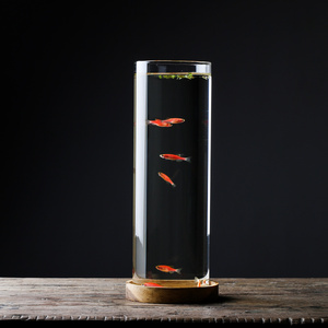 2L微景茶室桌面鱼缸观赏热带灯科斑马鱼圆柱形家用迷你小型玻璃瓶