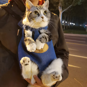 猫咪胸前包背带猫包便携外出携带双肩背猫兜猫袋出行宠物用品背包