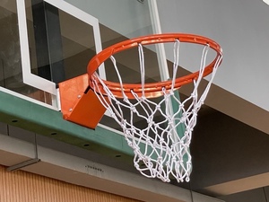 篮球架篮球框篮球筐篮球圈11410篮球架定制篮圈ZLQ-3