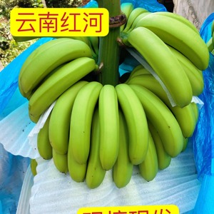 云南自家栽种新鲜10斤 香蕉自然熟产地直发威尼斯特产新鲜水果