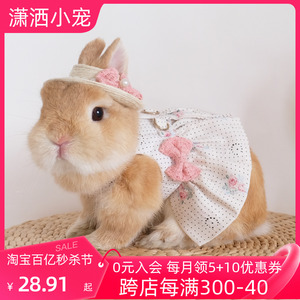 浪漫玫瑰小兔子衣服外出服可爱兔兔宠物公主裙垂耳兔侏儒兔牵引绳