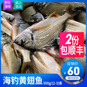 东山岛海鲜黄翅鱼三去海钓黄赤鱼新鲜海捕宝宝辅食海鱼500g/2-3条