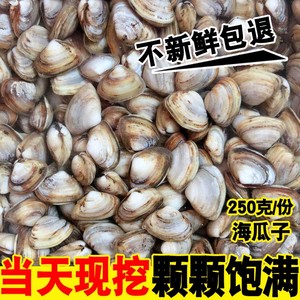 连云港特产海鲜贝类 新鲜鲜活海瓜子 海沙子小蛤蜊白瓜子优质野生