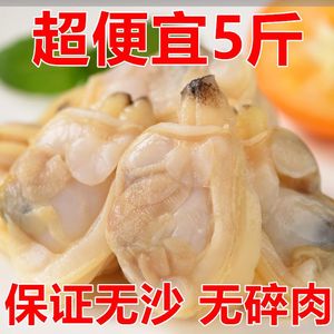 无沙花蛤肉500g新鲜冷冻速冻煮花甲肉蛤蜊肉黄蚬子肉海鲜水产商用