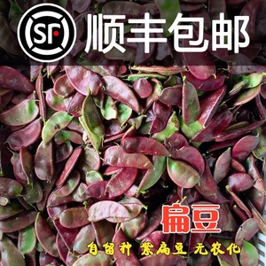 【顺丰包邮】农家现摘新鲜红扁豆露天紫扁豆时令蔬菜扁豆角猪耳朵