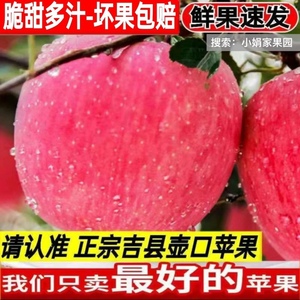 【今年新苹果】山西吉县壶口苹果冰糖心苹果水晶原产地直发农产品