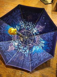 奥罗拉鹰击长空珍藏版女士遮阳伞晴雨伞艺术伞直杆伞金属架太阳伞