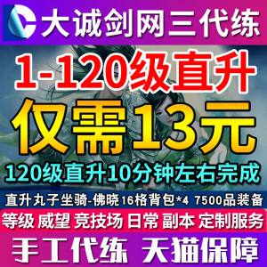 剑三代练直升丸子剑网三剑网3代练1-110-120级直升丸子等级速升级