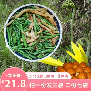 野山菜蕨菜 淘宝拼多多热销野山菜蕨菜货源拿货 阿里巴巴货源 野山菜蕨菜 淘宝拼多多热销野山菜蕨菜货源拿货 阿里巴巴货源