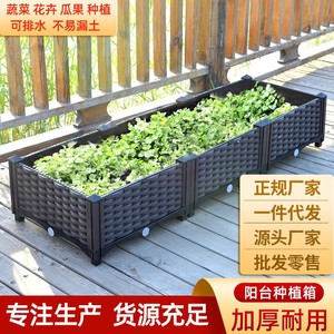 蔬菜盒露台塑料盆月季家用胡萝卜种植箱西红柿花盘菜园香菜草莓窄