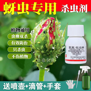 蚜虫专用药月季玫瑰花卉植物蔬菜腻虫家用花杀虫剂吡虫啉喷雾花药