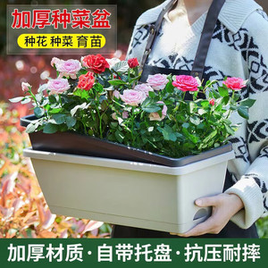 阳台种菜种植盆蔬菜草莓盆栽专用箱长方形花盆家用塑料长条霍伦盆