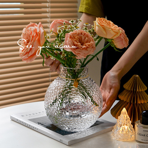 高级感花瓶摆件网红极冻冰川透明玻璃水培插花家居客厅餐桌软装饰