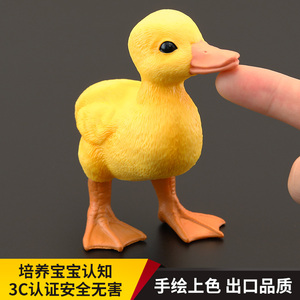 儿童仿真动物玩具仿真动物模型 鸭子小黄鸭Duck家鸭认知礼品摆件